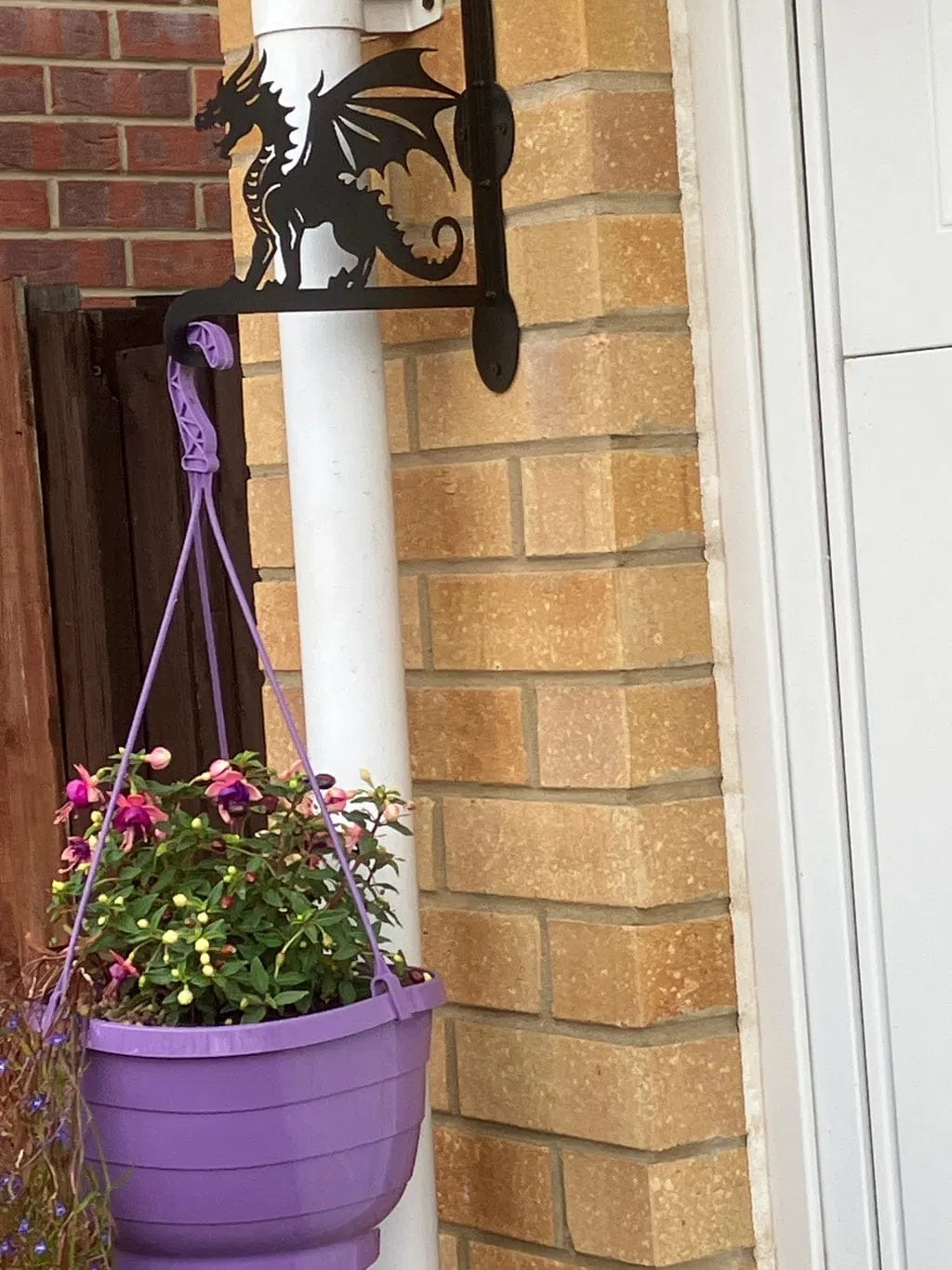 Customer photo review of Hanging Basket Bracket – Dragon