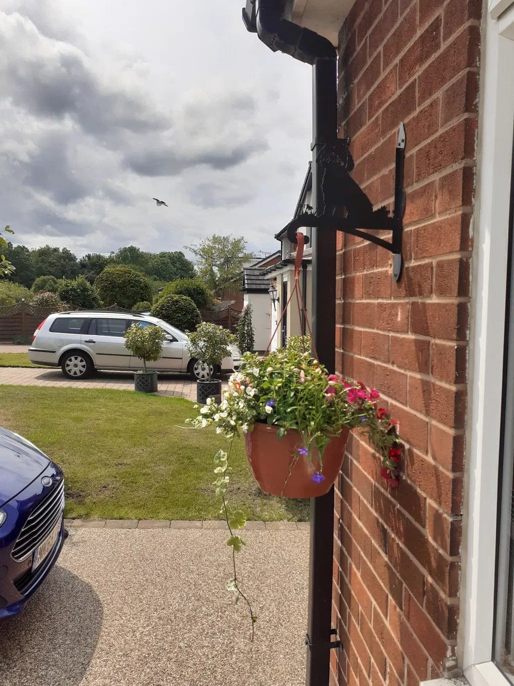 Customer photo review of Hanging Basket Bracket – Havanese