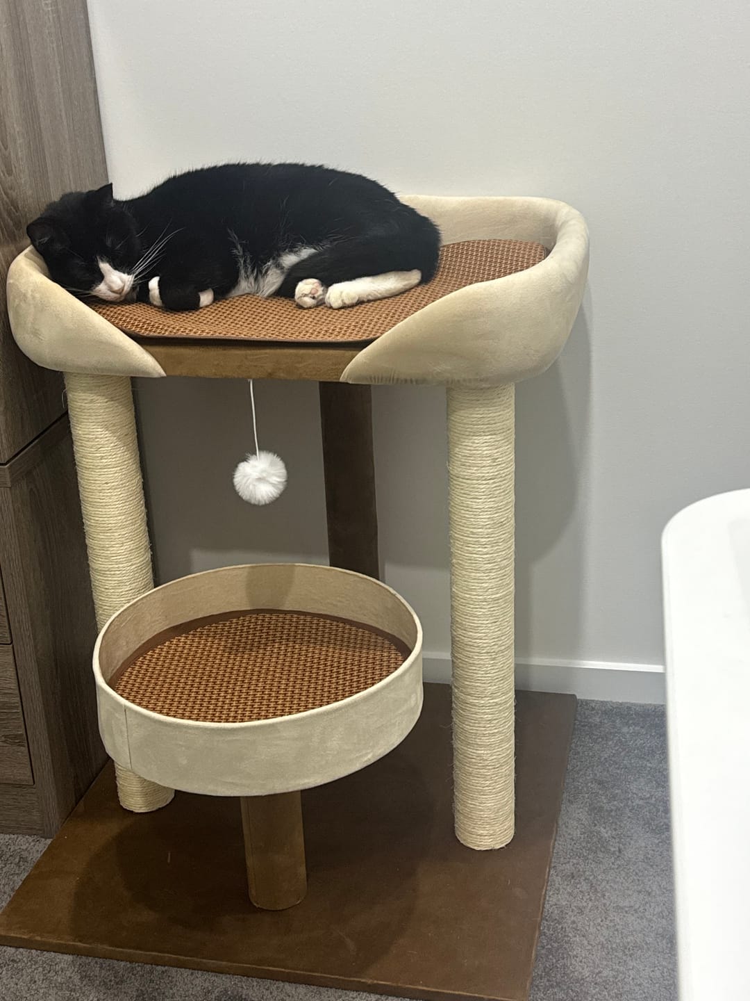 Customer photo review of Japanese-Style Double-Level Cat Tree Cat Sofa - 90901B, Perfect for Window-Side Lounging