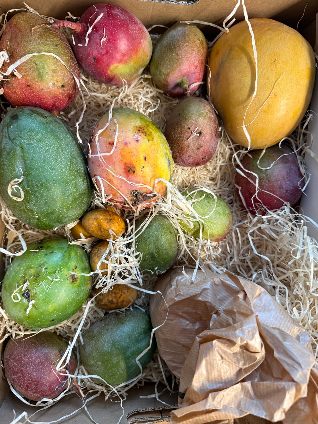 Customer photo review of Ugly Mangobox