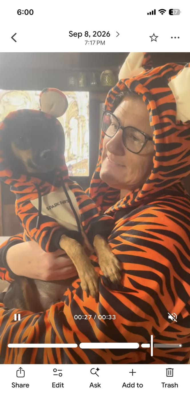 Customer photo review of Halloween Dog Hoodie - Tiger