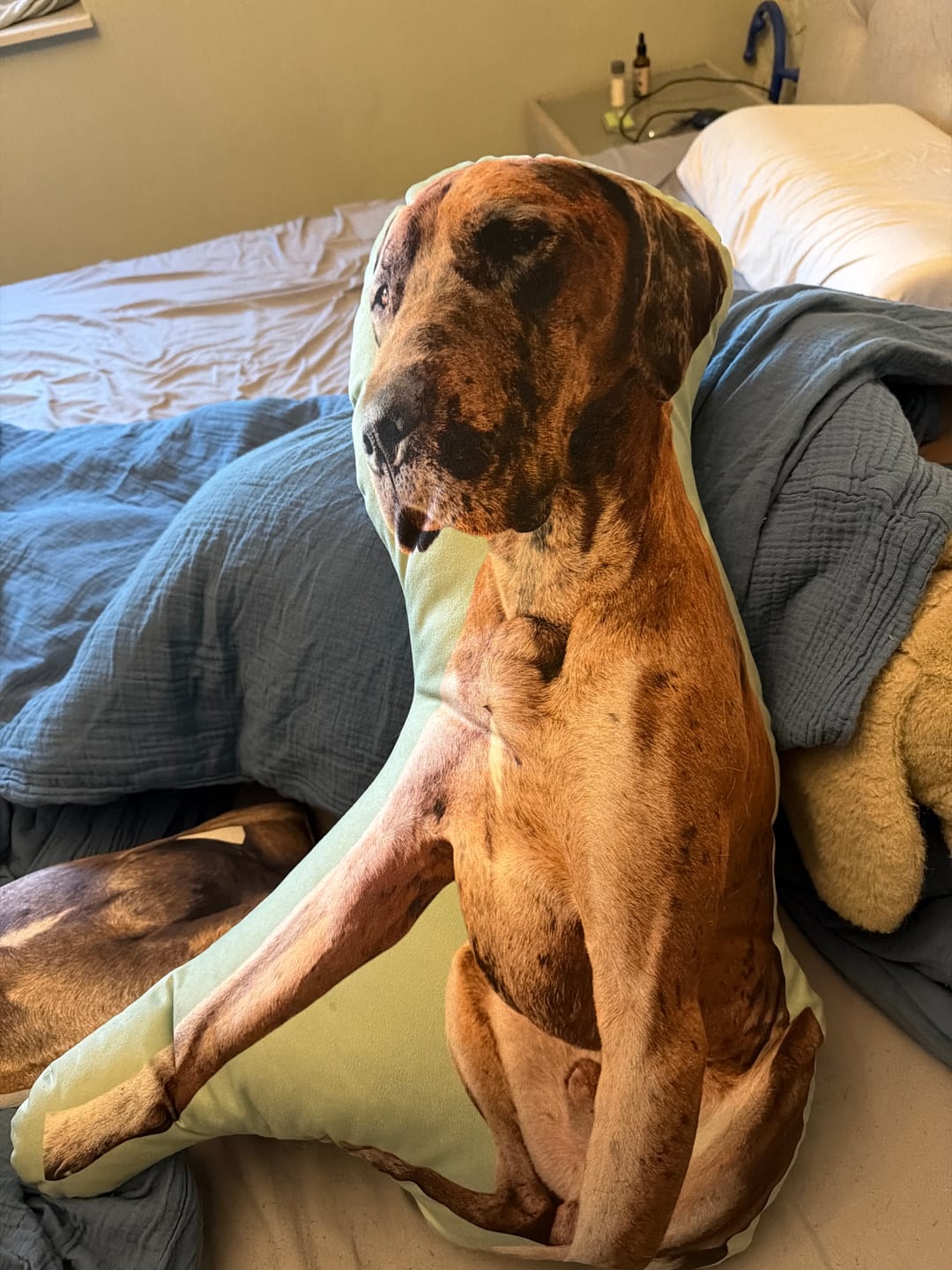 Customer photo review of Personalisiertes Hundekissen