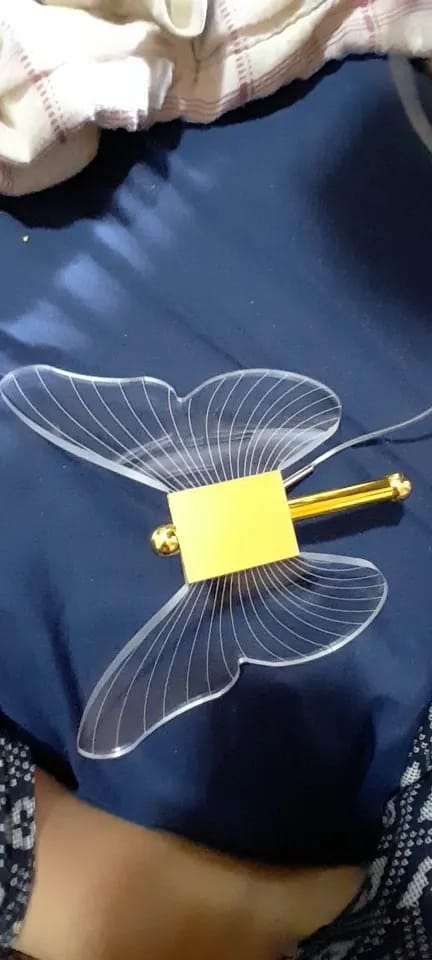 Customer photo review of Gold Pendant Light for Living Room, Butterfly Accents, 2 Heads