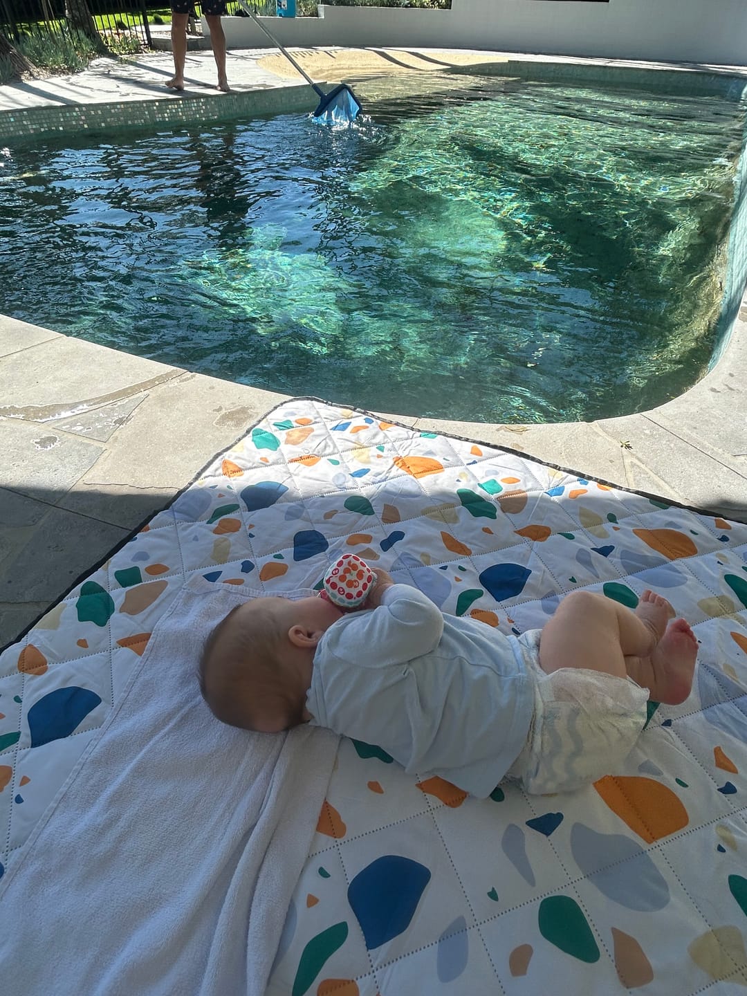 Customer photo review of Charlie Picnic rug