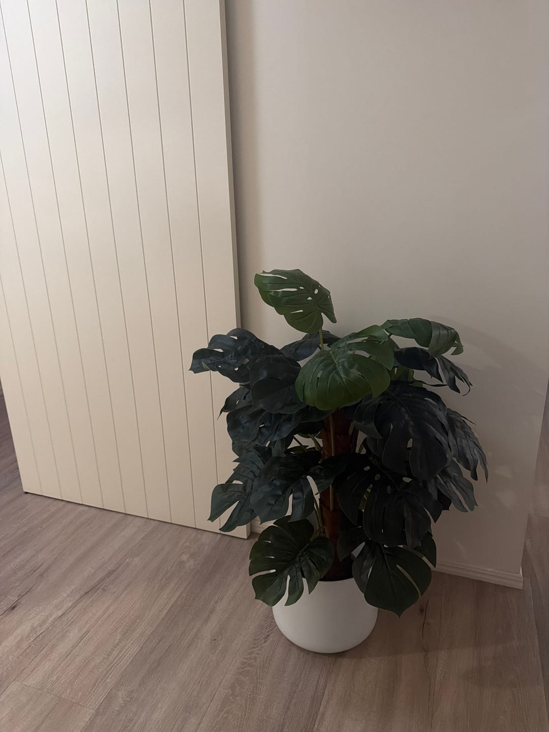 Customer photo review of Premium Artificial Monstera Deliciosa Tree 100cm