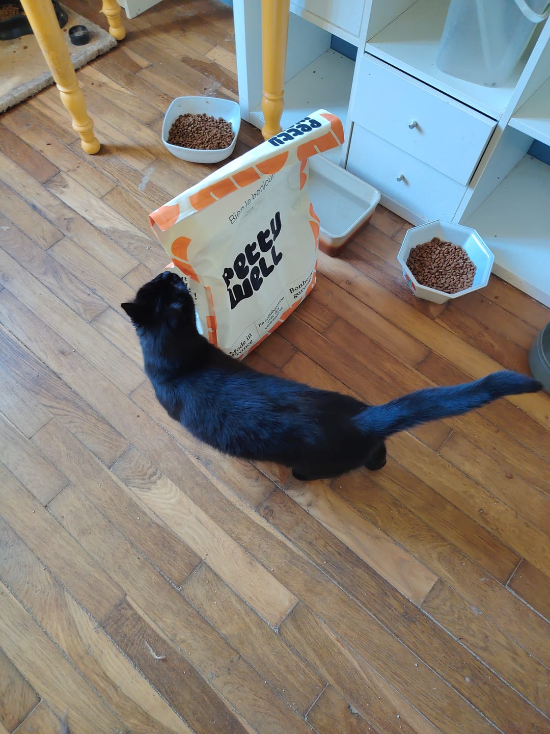 Customer photo review of Croquettes Poulet Frais pour Chat