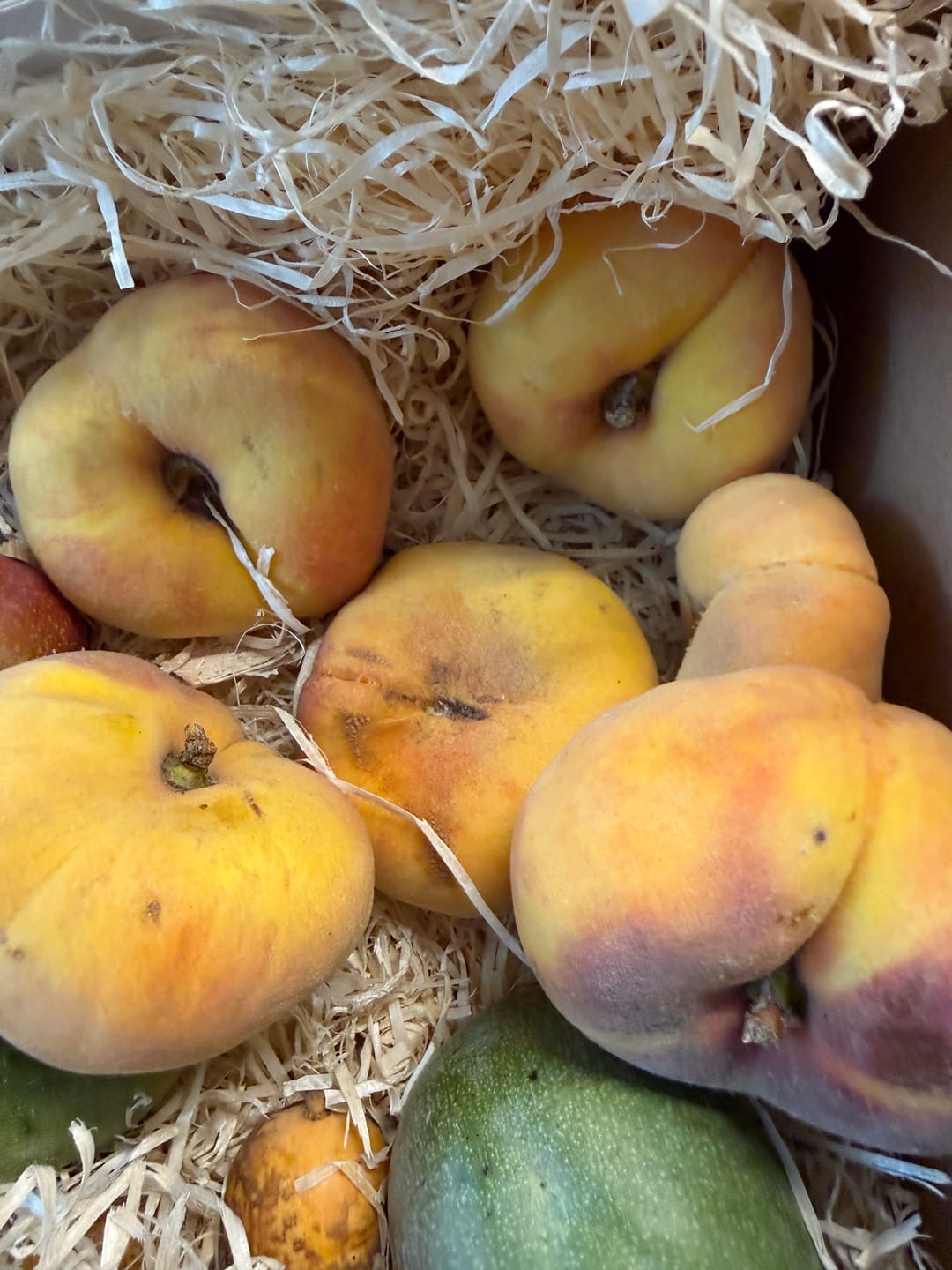 Customer photo review of Weinbergpfirsiche gelb Bio von Jose Miguel