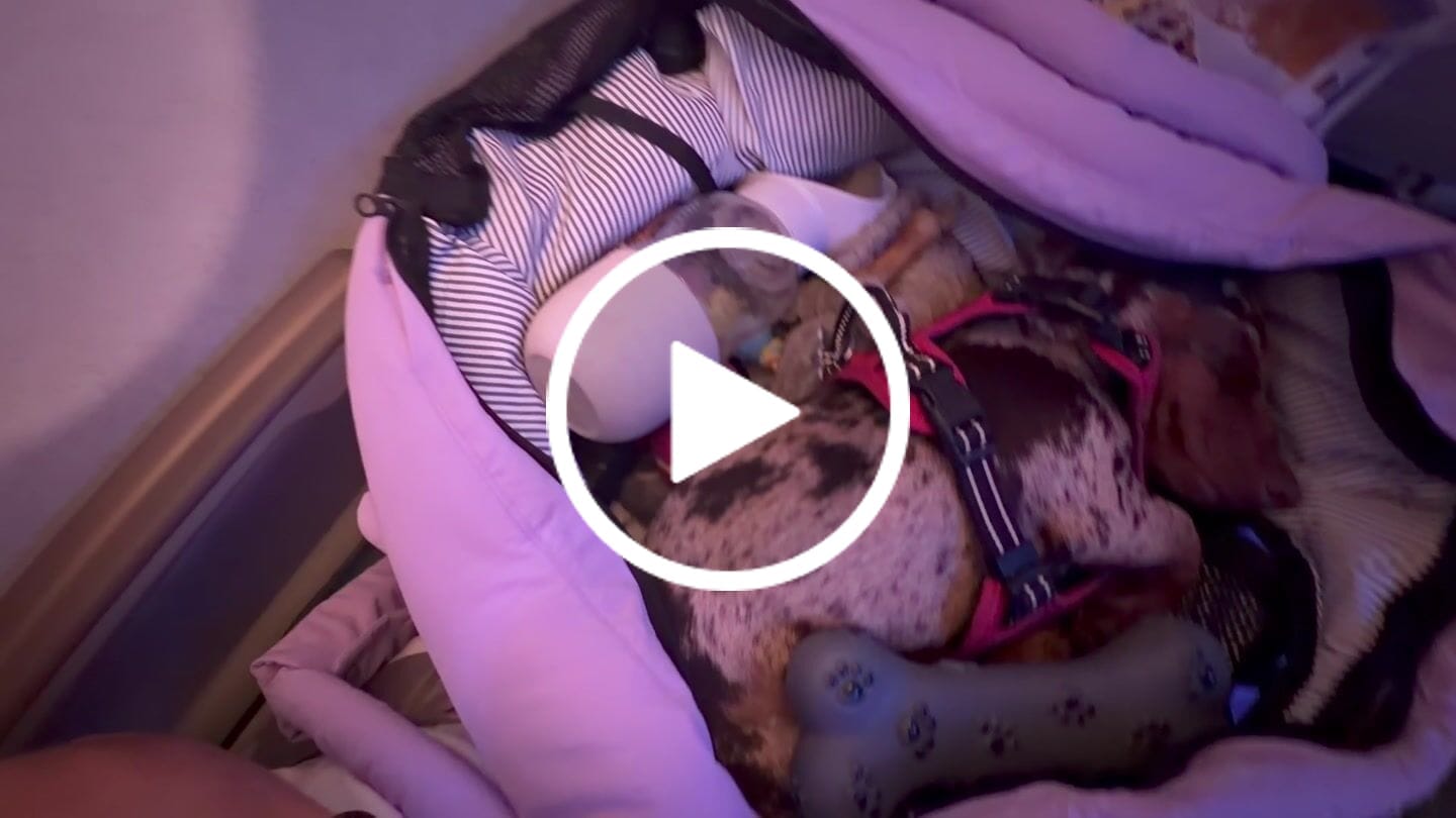 Customer video review of Sac de voyage - Lilas