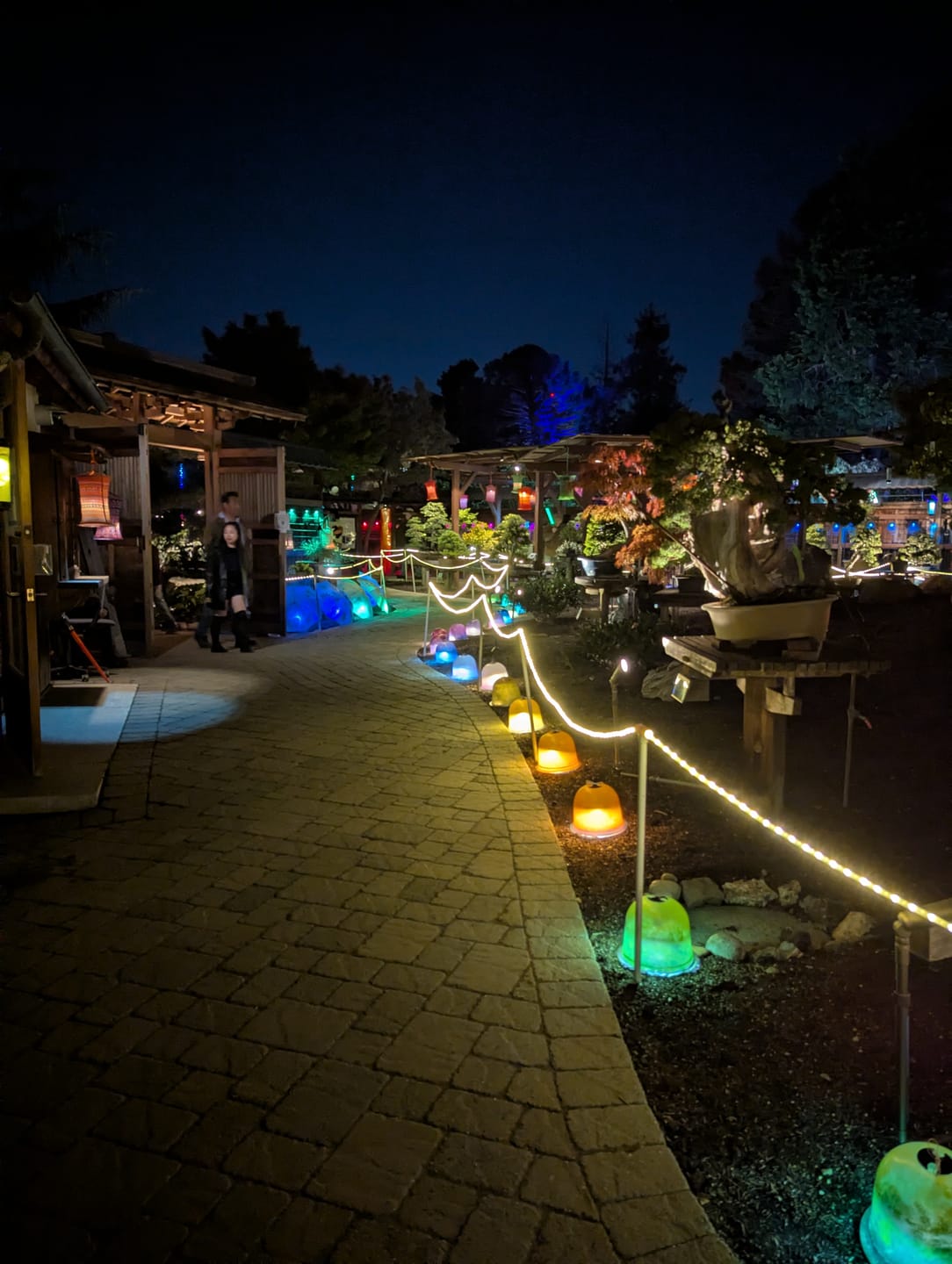Customer photo review of Fantado MoonBright™ BULK COMBO 12 LED Multi-function Remote Controlled Battery Powered Lights for Lanterns, Warm White (6 PACK + Remote Control)