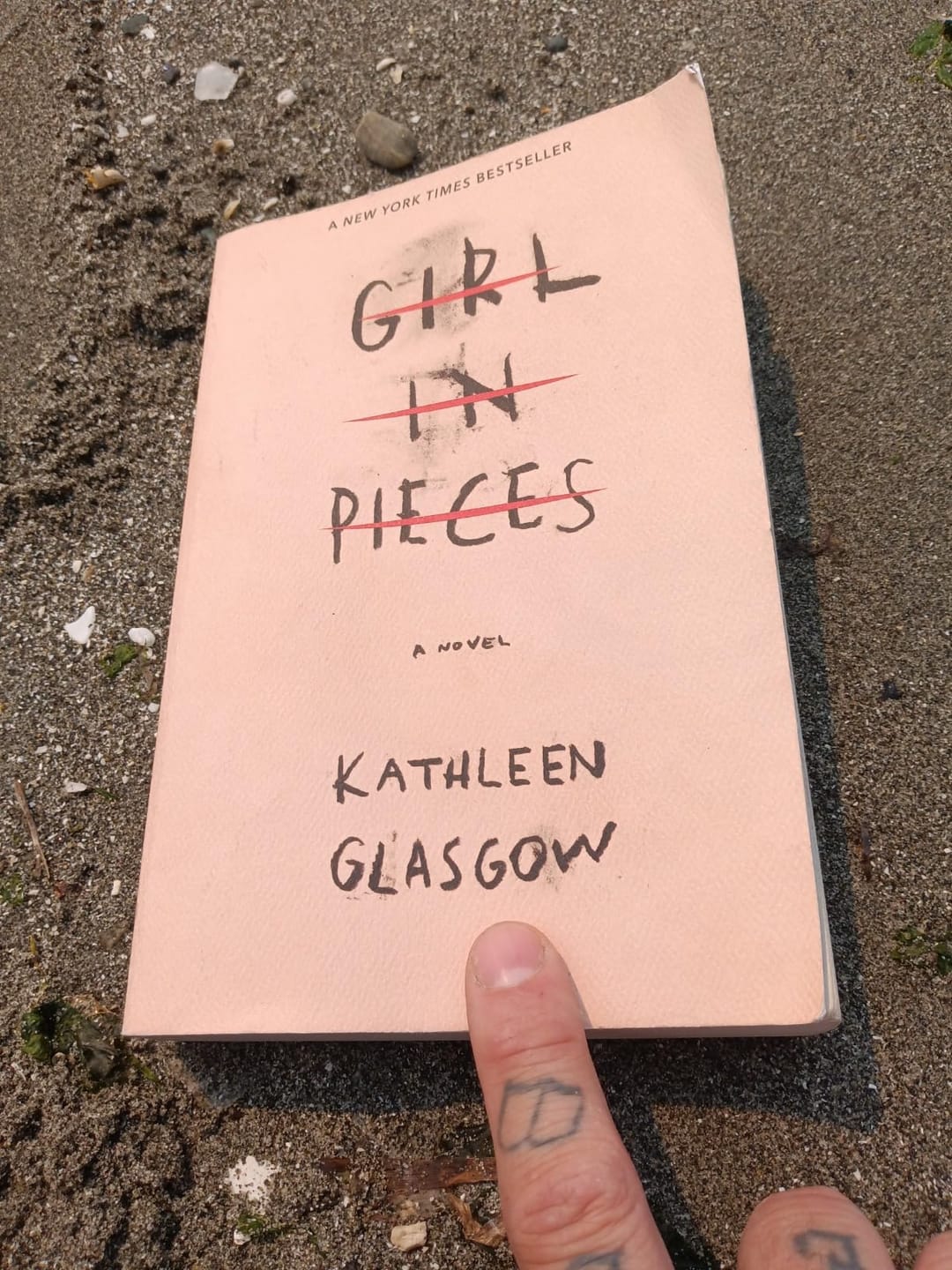 Customer photo review of Girl in Pieces