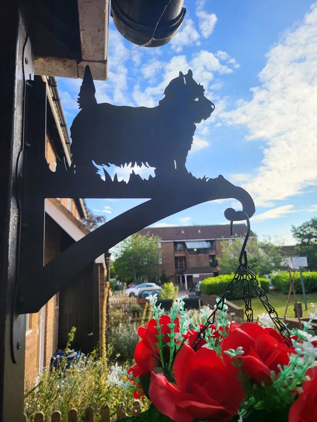 Customer photo review of Hanging Basket Bracket – Yorkshire Terrier