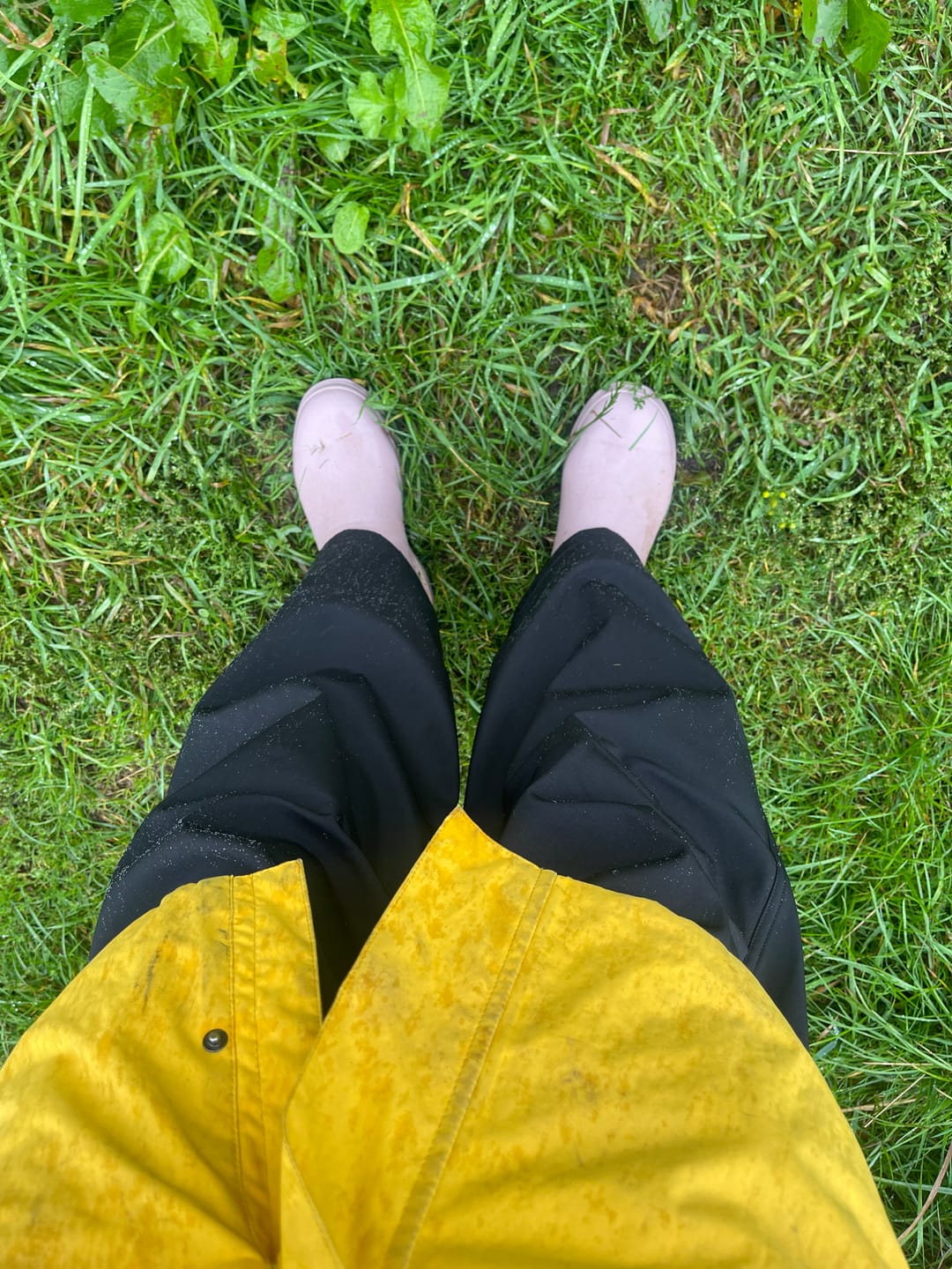 Customer photo review of Women's Rainscape Chelsea Boots