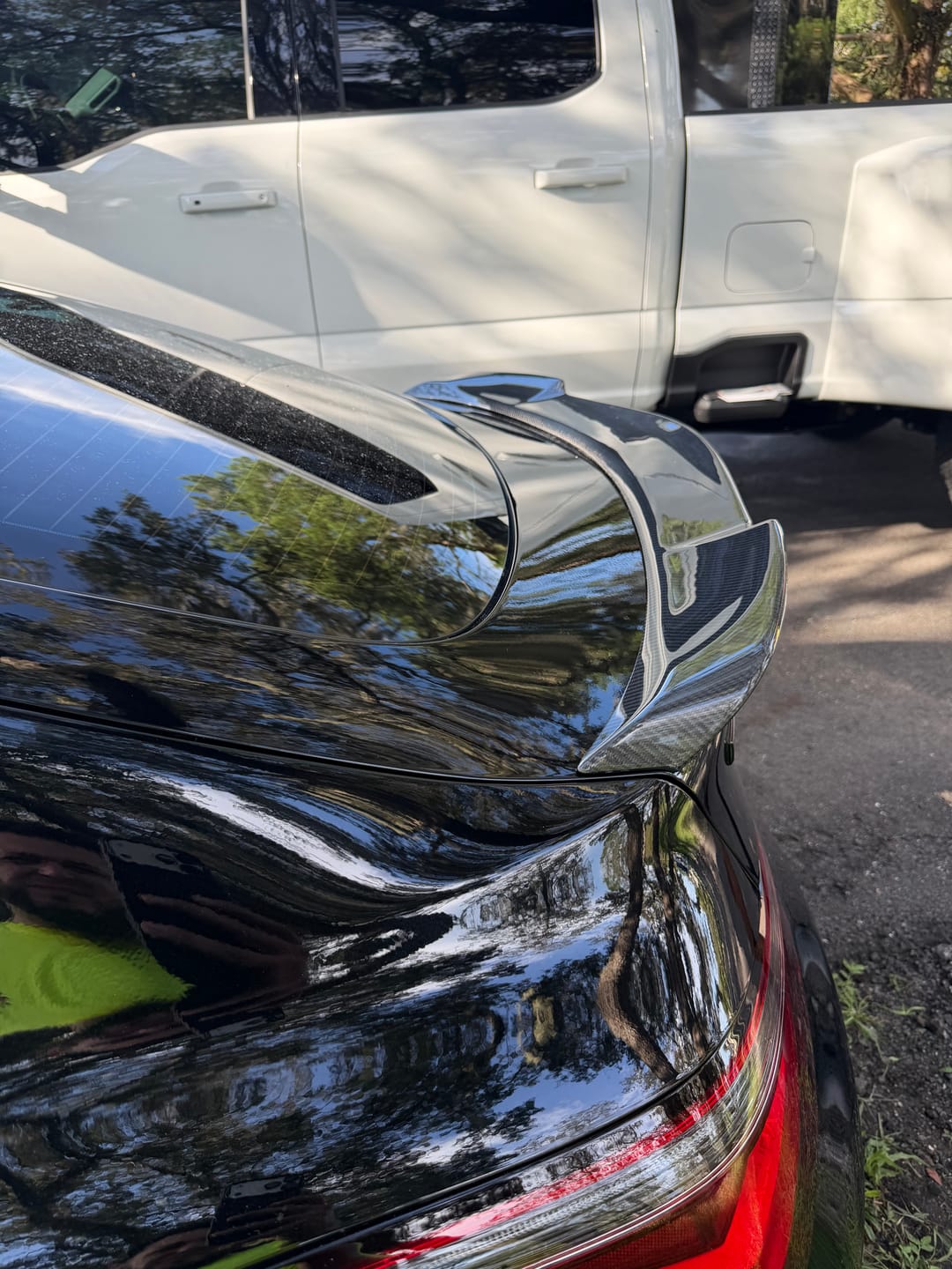 Customer photo review of Free Returns + Package Protection