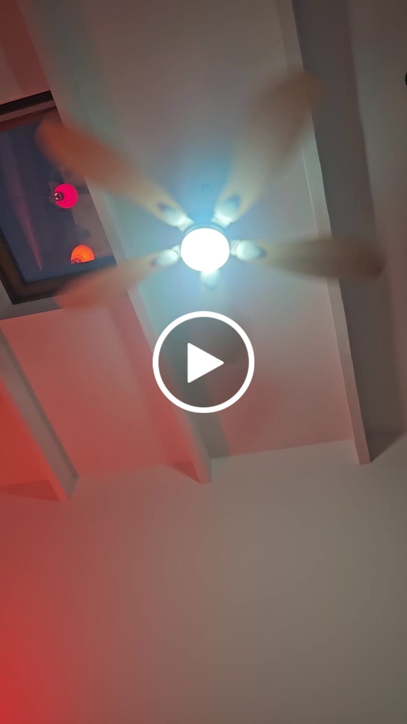 Customer video review of Libellule teinté Chêne | Ventilateur de plafond