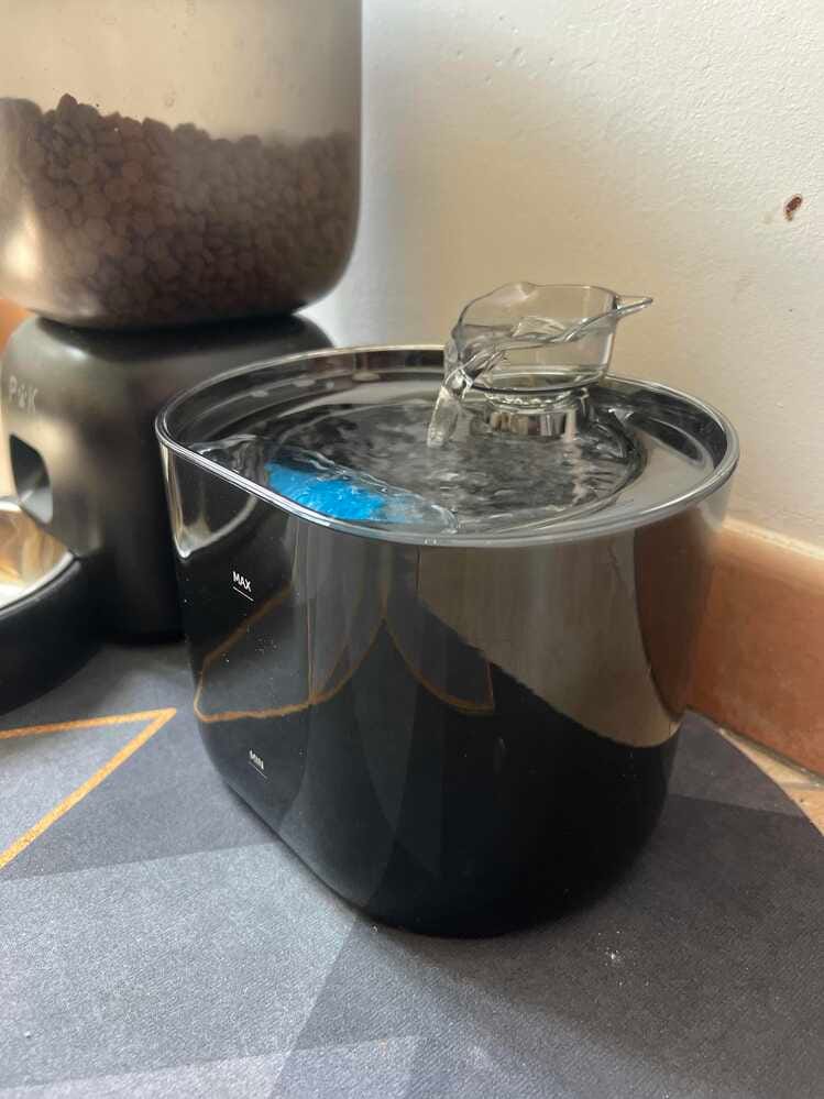 Customer photo review of Fontaine à Eau pour Chat 2,2L – Filtration Continue
