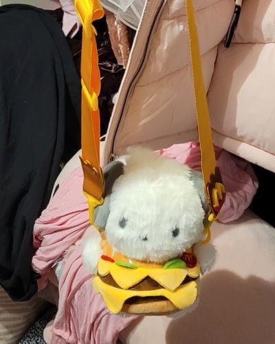 Customer photo review of Pochacco Big Mac Bag