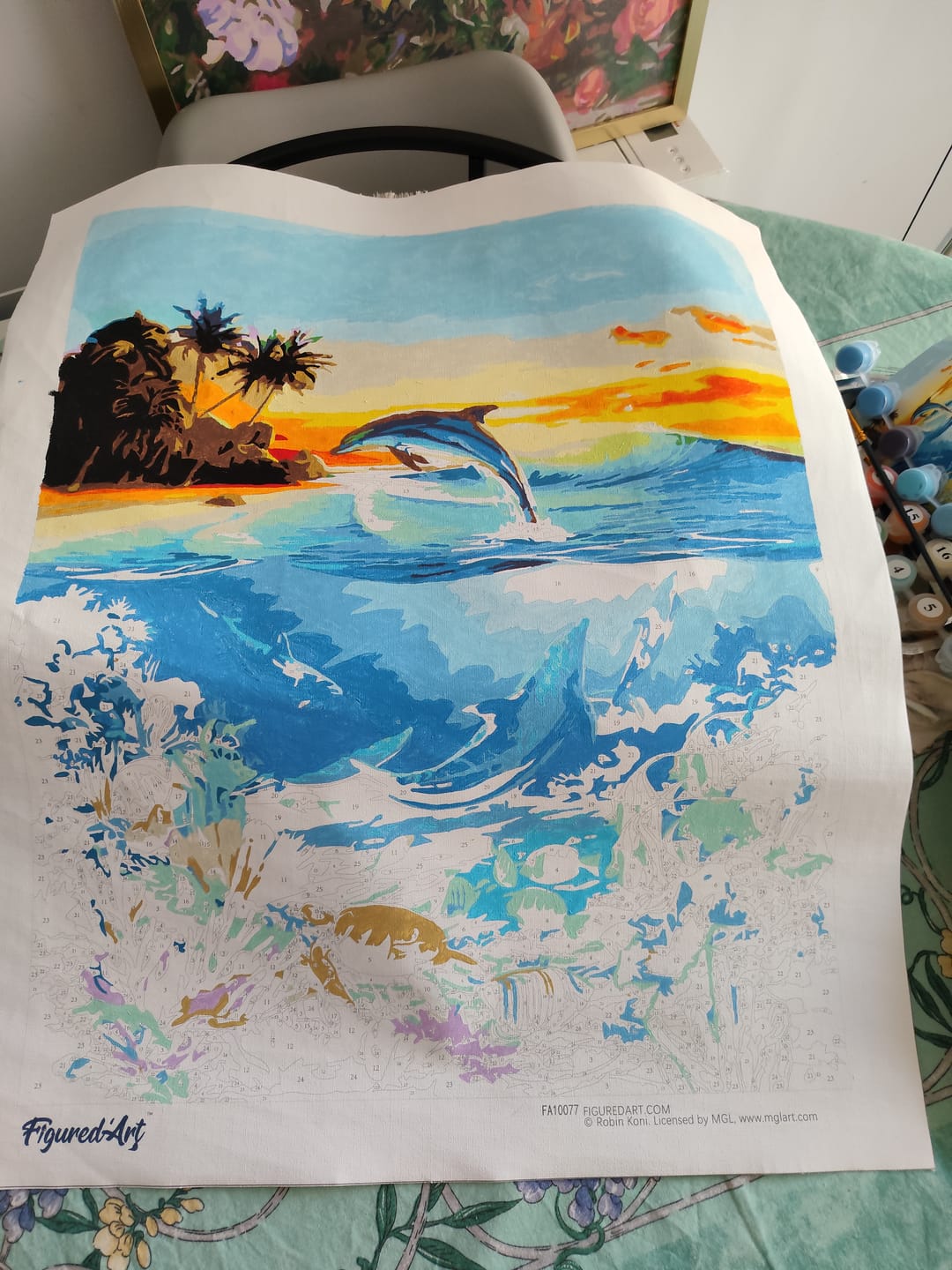 Customer photo review of Dauphins dans le lagon