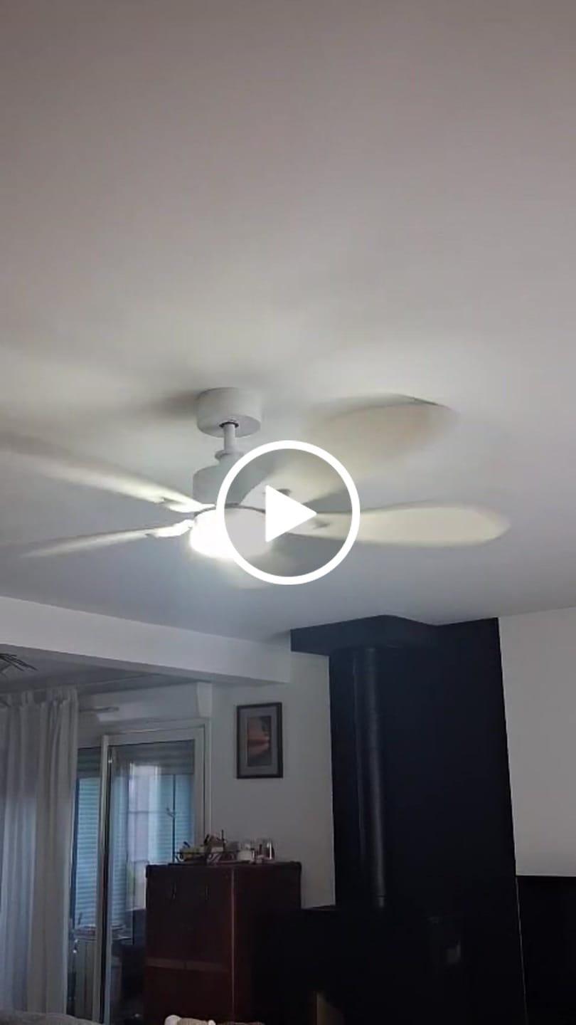 Customer video review of Libellule | Ventilateur de plafond – Ø 137 cm