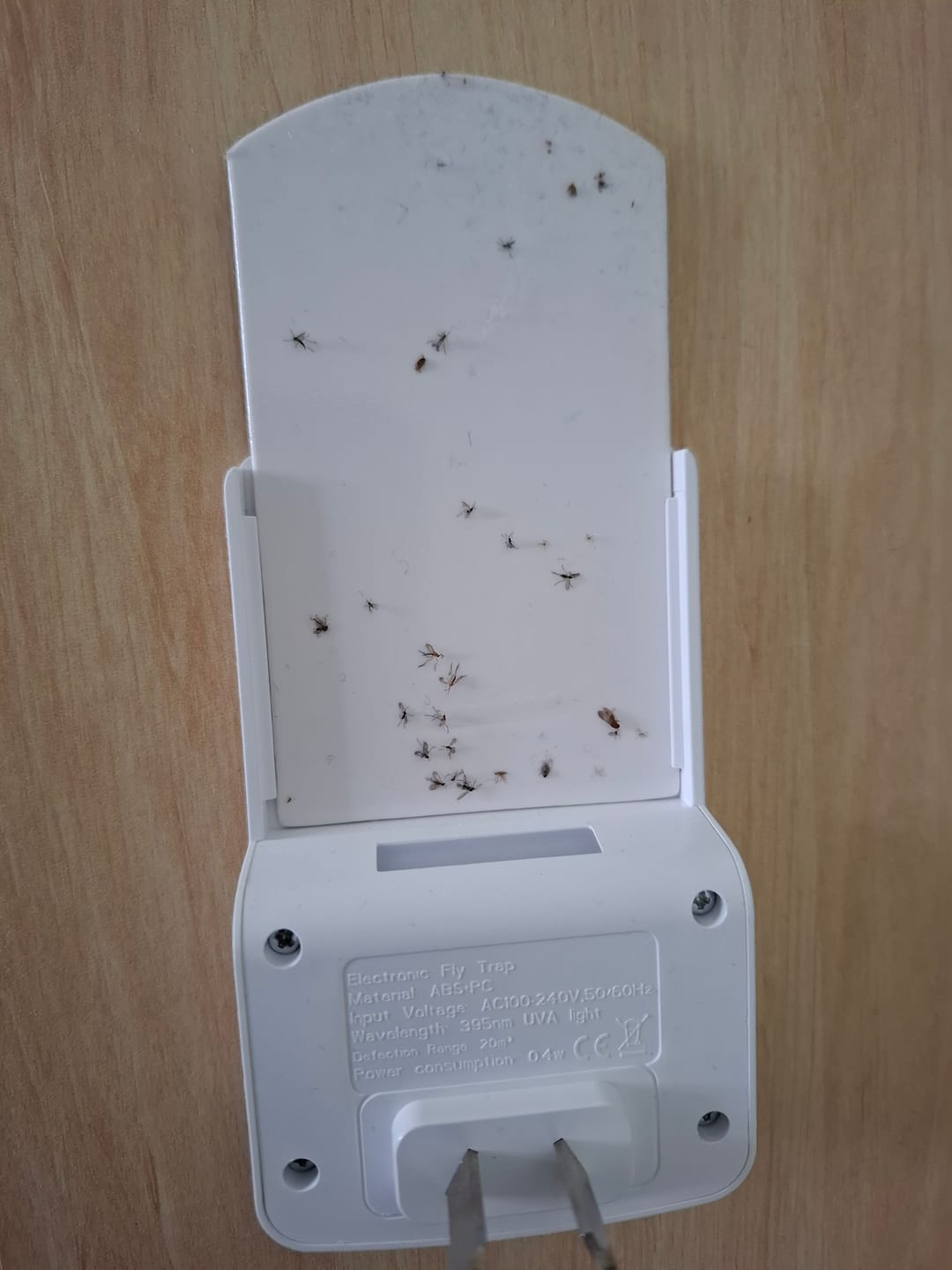 Customer photo review of Mozzigear Glow Guard Plug In Kit - The Superior, Chemical-Free Flying Insect Trap