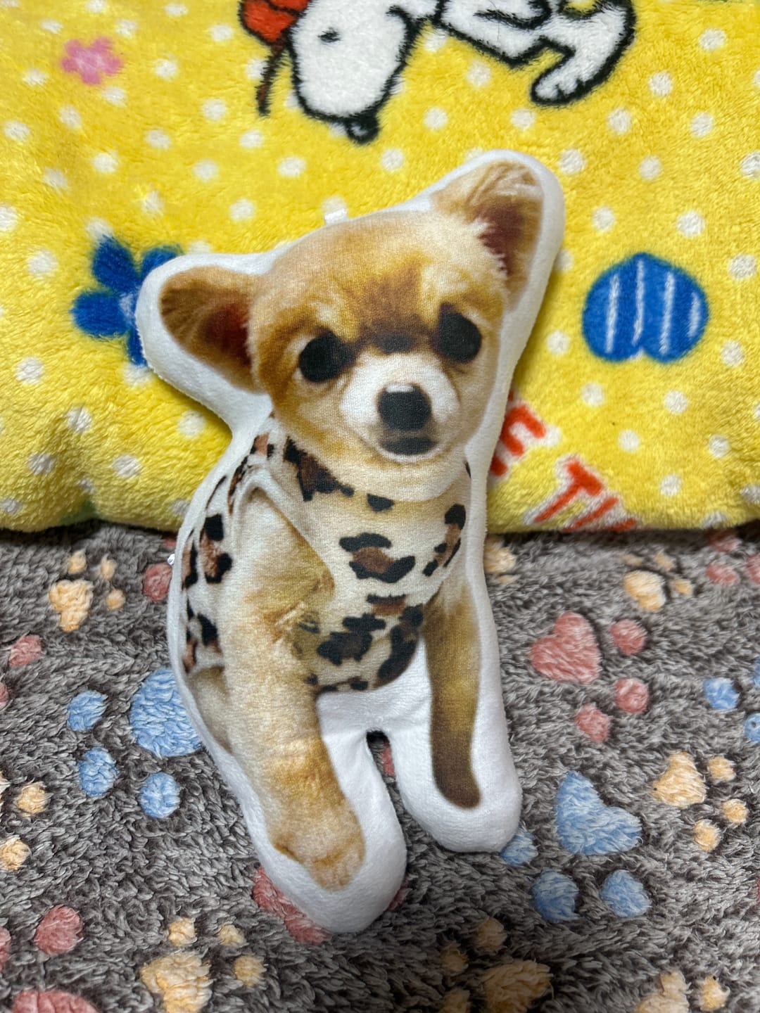 Customer photo review of 本物そっくり♪ペットクッション