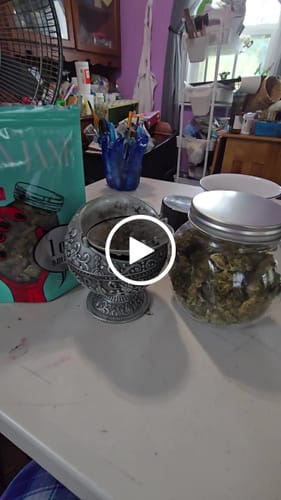 Customer video review of 1 Oz Cheap THCA Small Buds