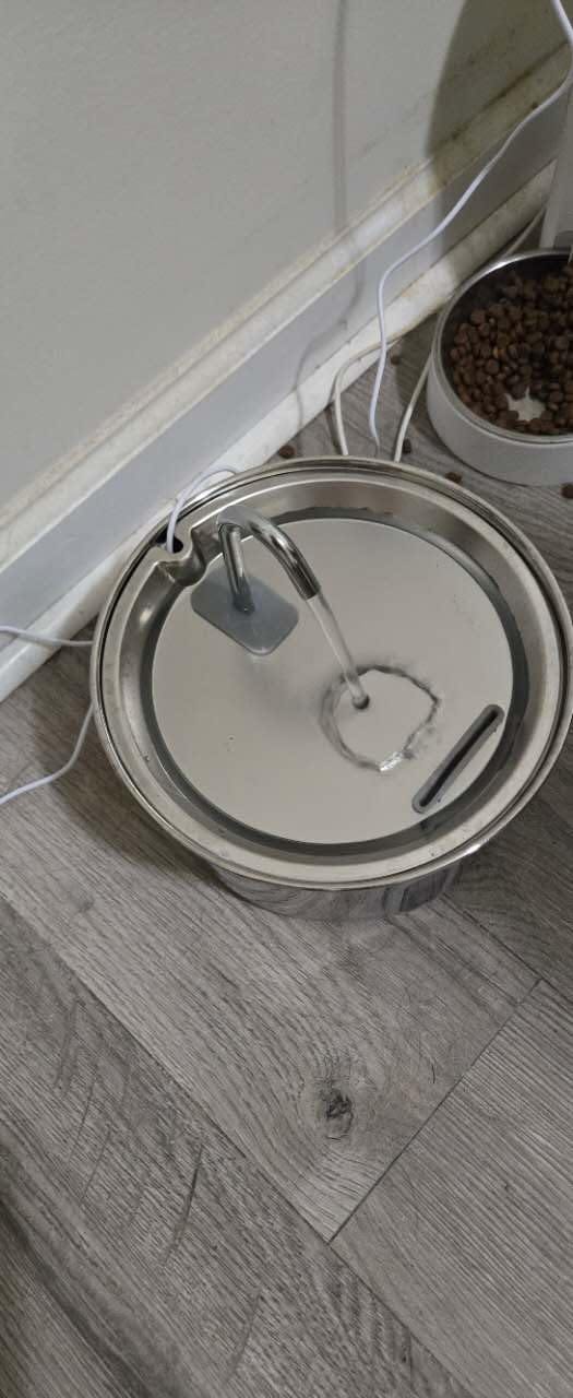Customer photo review of PureFlow™   Pet Water Fountain