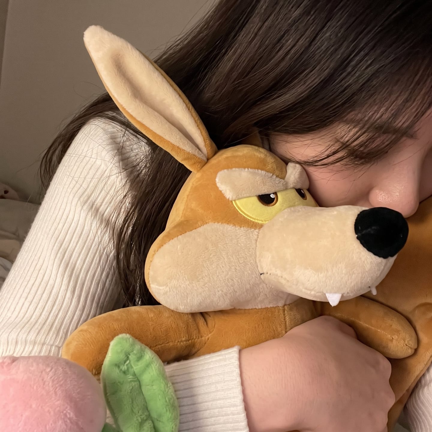 Customer photo review of ZoomiesPets™ Coyote Corredor