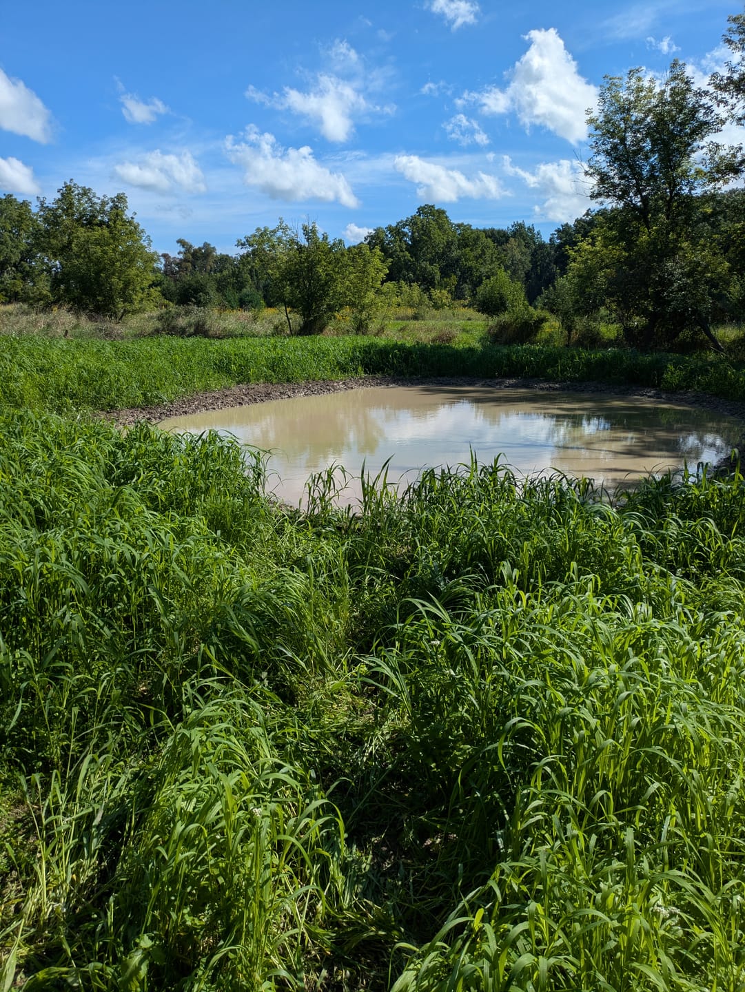 Customer photo review of Waterfowl Blend