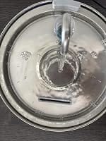 Customer photo review of PureFlow™   Pet Water Fountain