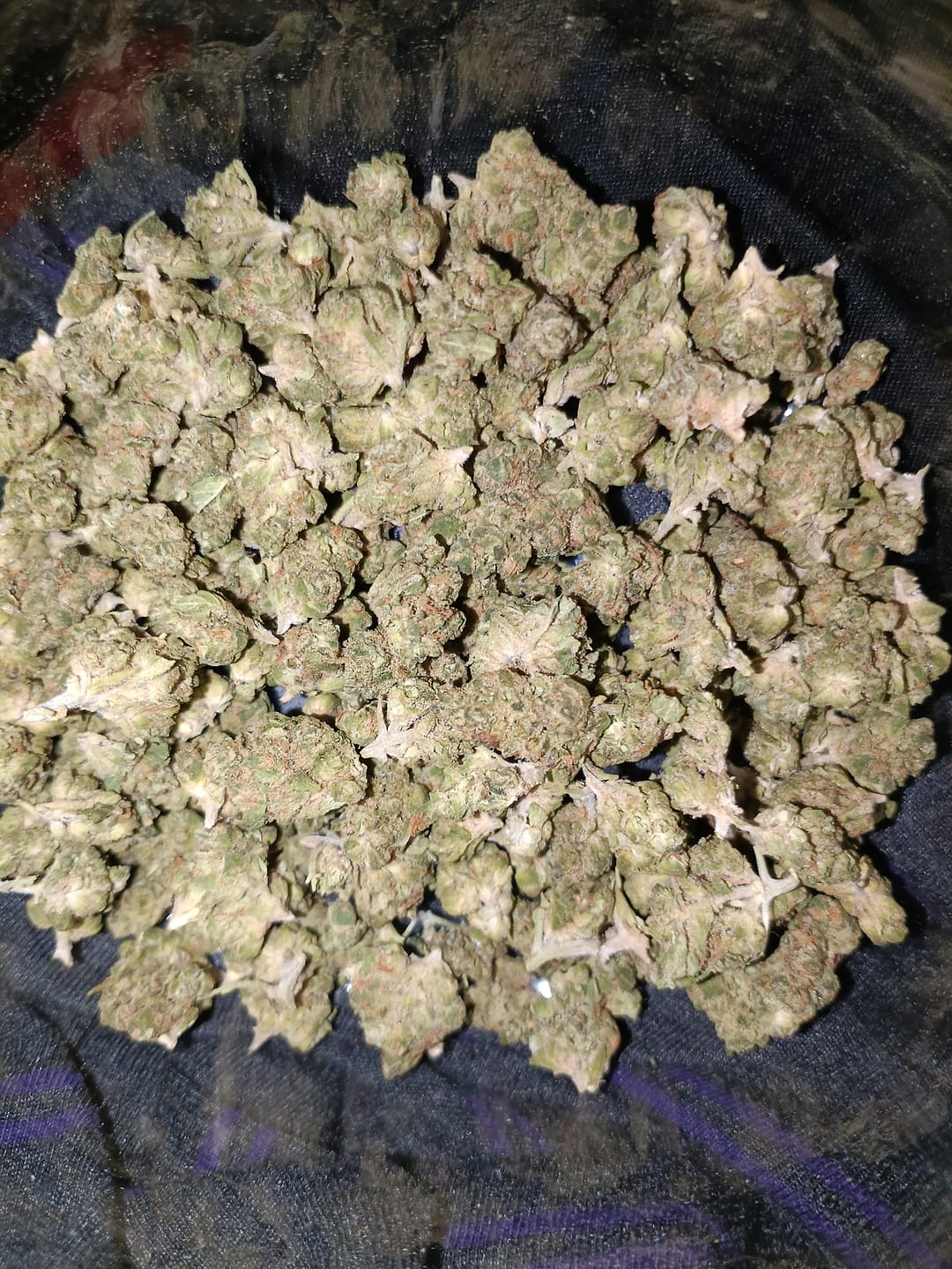 Customer photo review of Light Assist THCA Smalls