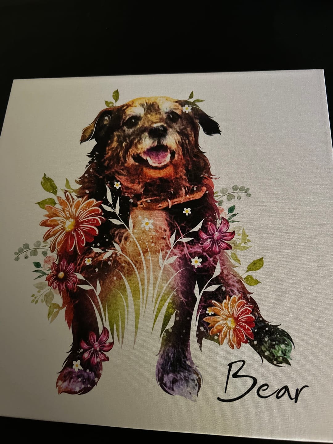Customer photo review of Flowerpup Custom Pet Portrait (Humans too!)