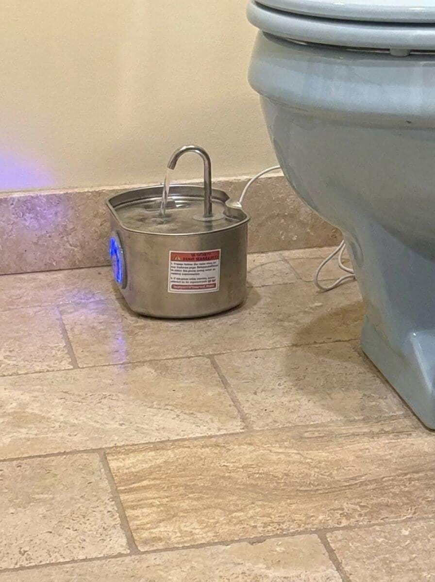 Customer photo review of Purrsteel Fresh Water Fountain