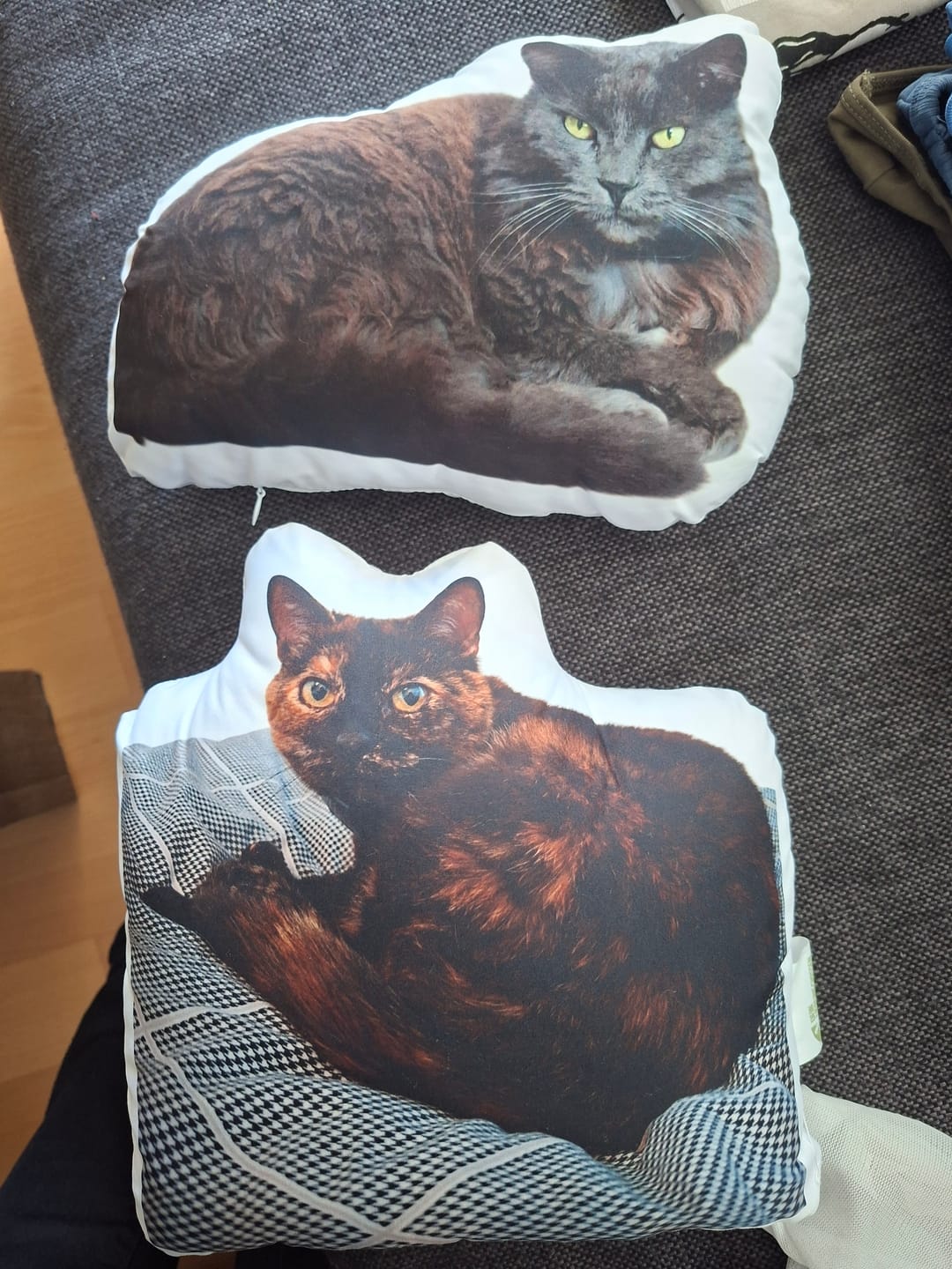 Customer photo review of Personalisiertes Katzenkissen