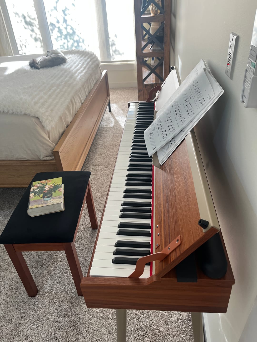 Customer photo review of Donner DDP-80 PLUS Digital Piano with Semi-open Cover