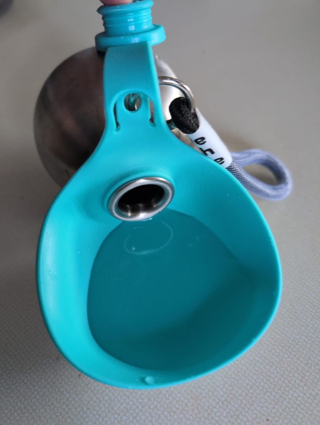 Customer photo review of Pawlytic Lab HydroLoop™ — Less Gear. More Walk.