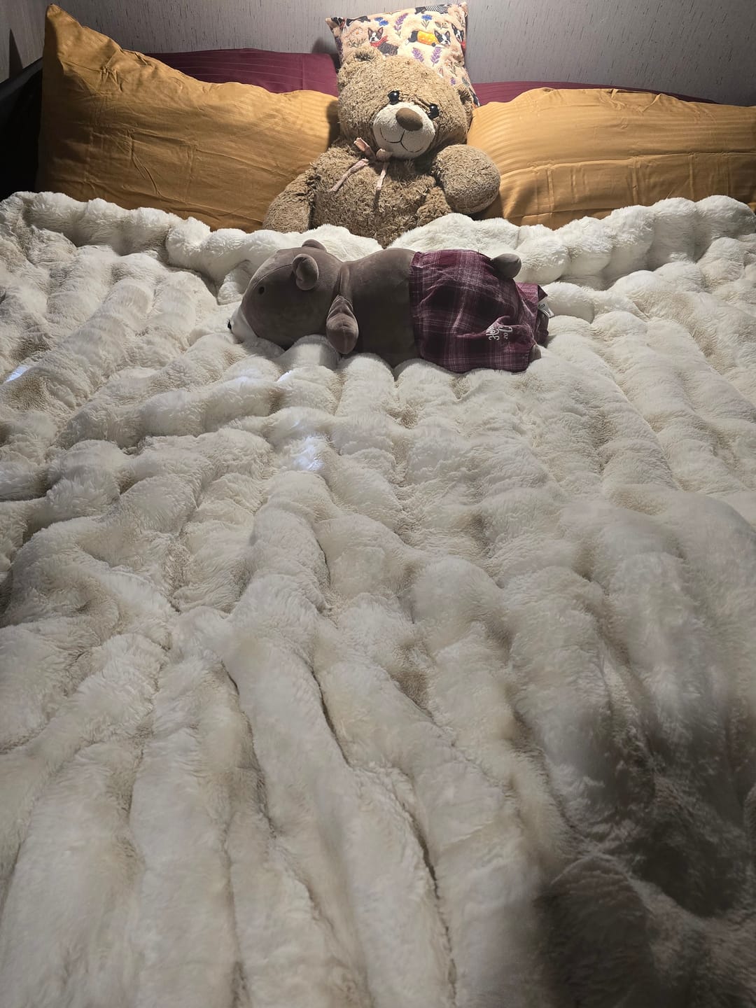 Customer photo review of Extreme Ultra Cloud Ancient Scroll Blanket