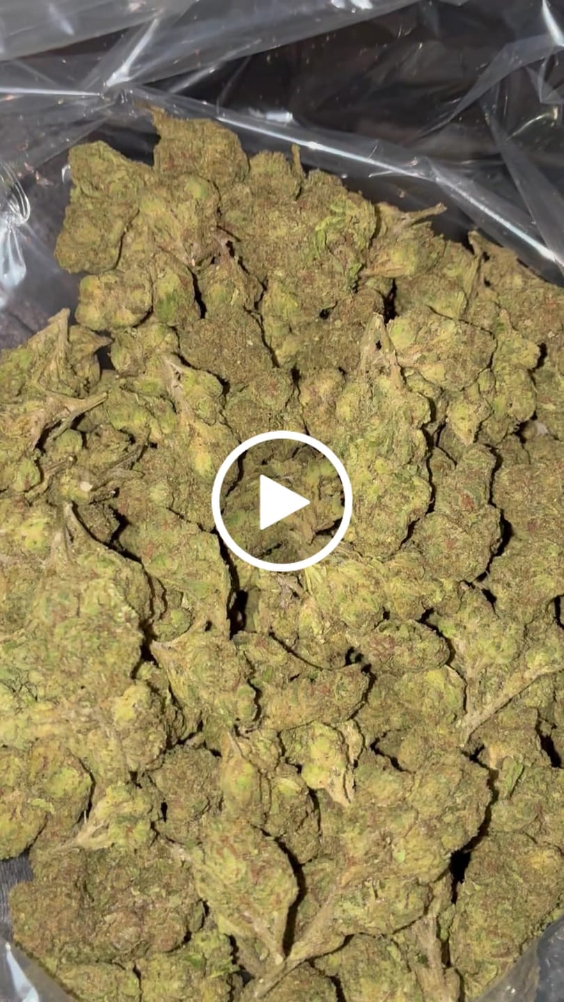 Customer video review of Gruntz - Bulk - Indica