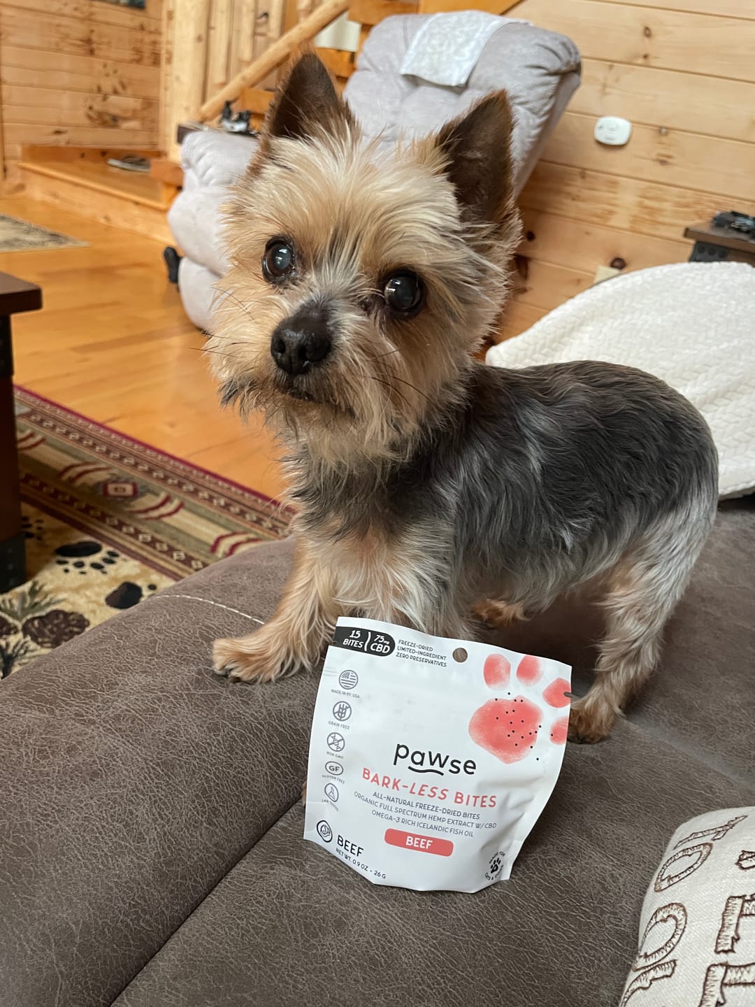Customer photo review of Bark-Less Bites