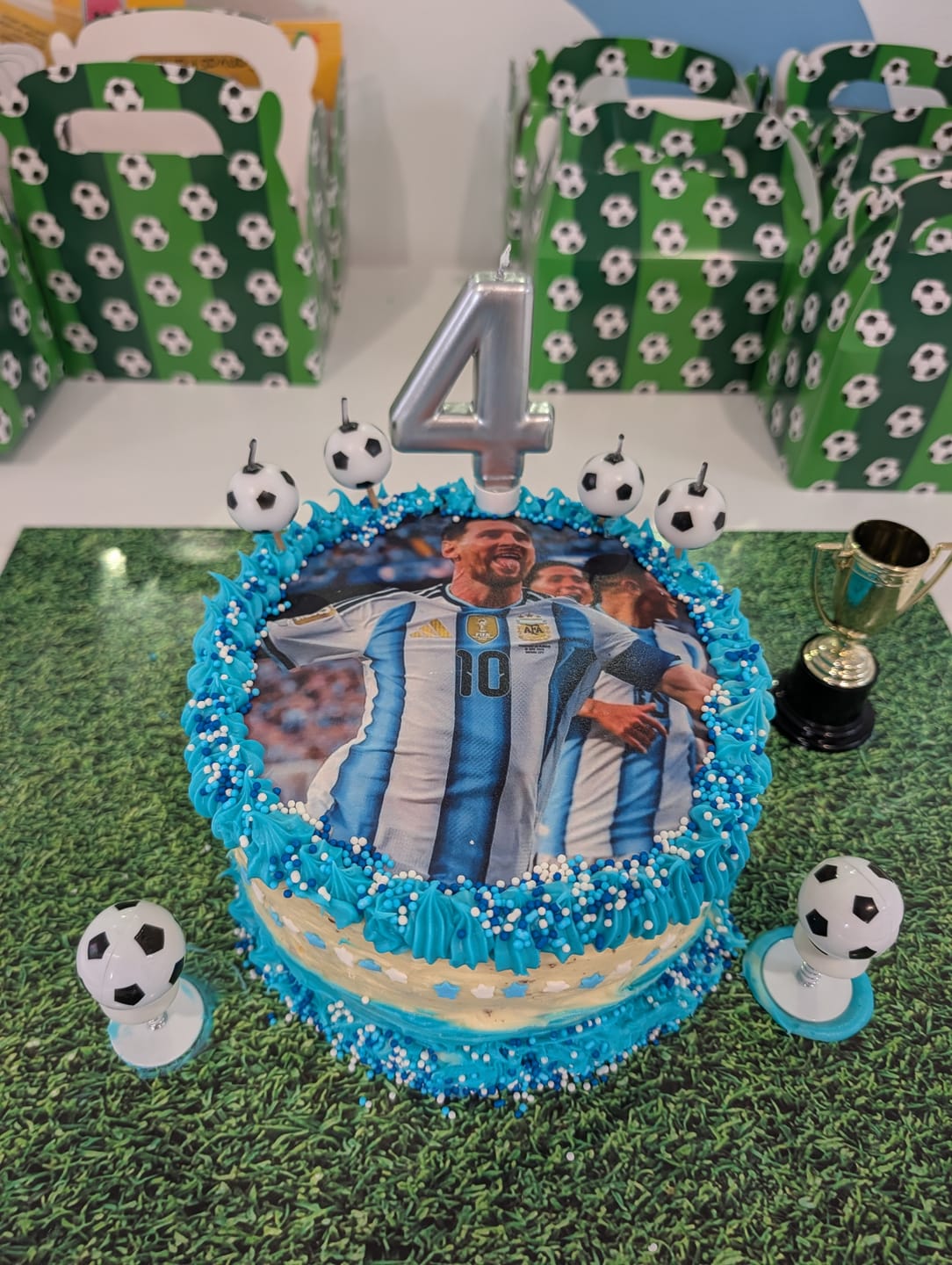 Customer photo review of 20 cm Pre-cut Circle Custom Edible Icing Image