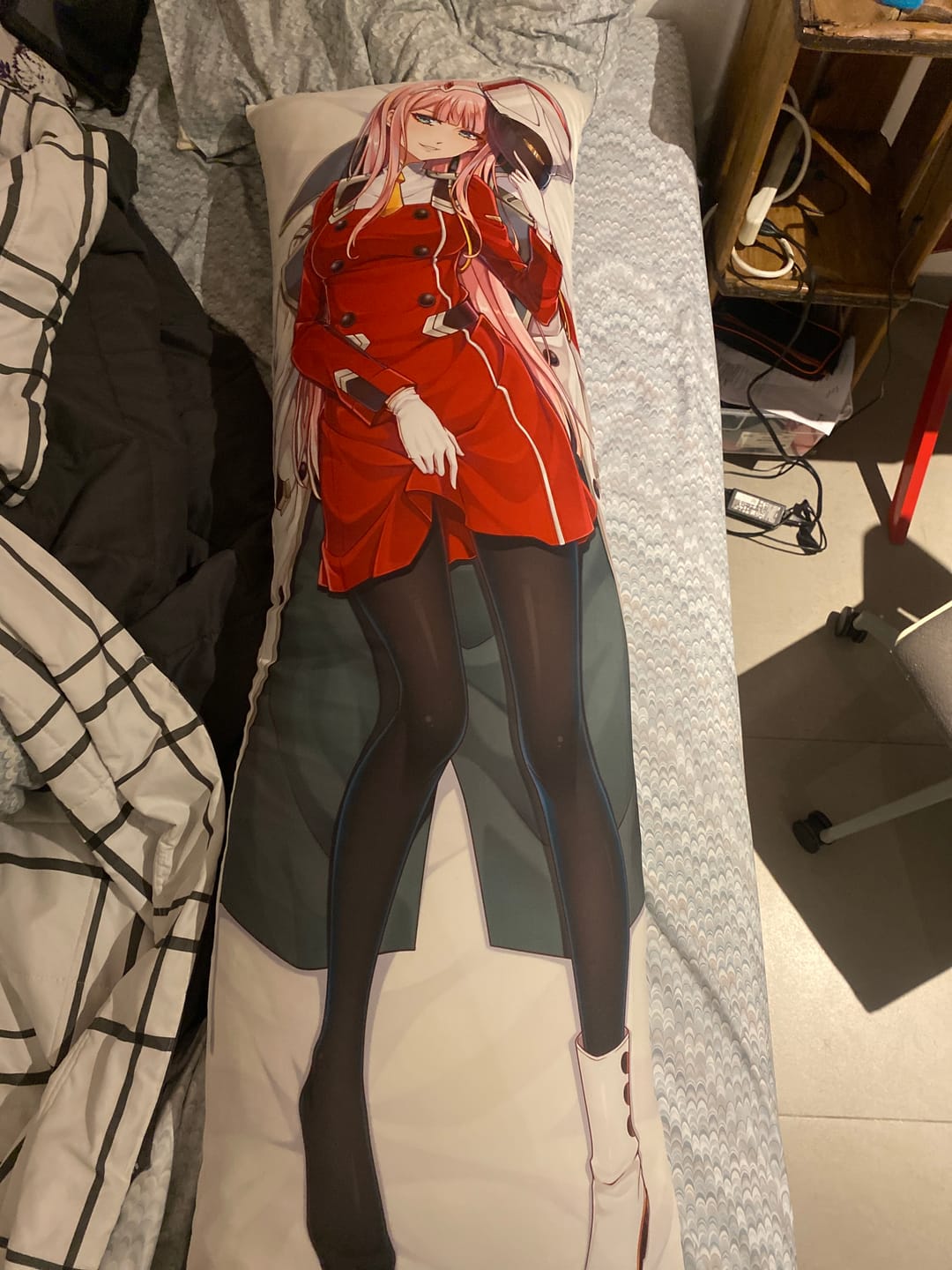 Customer photo review of Zero Two Dakimakura
