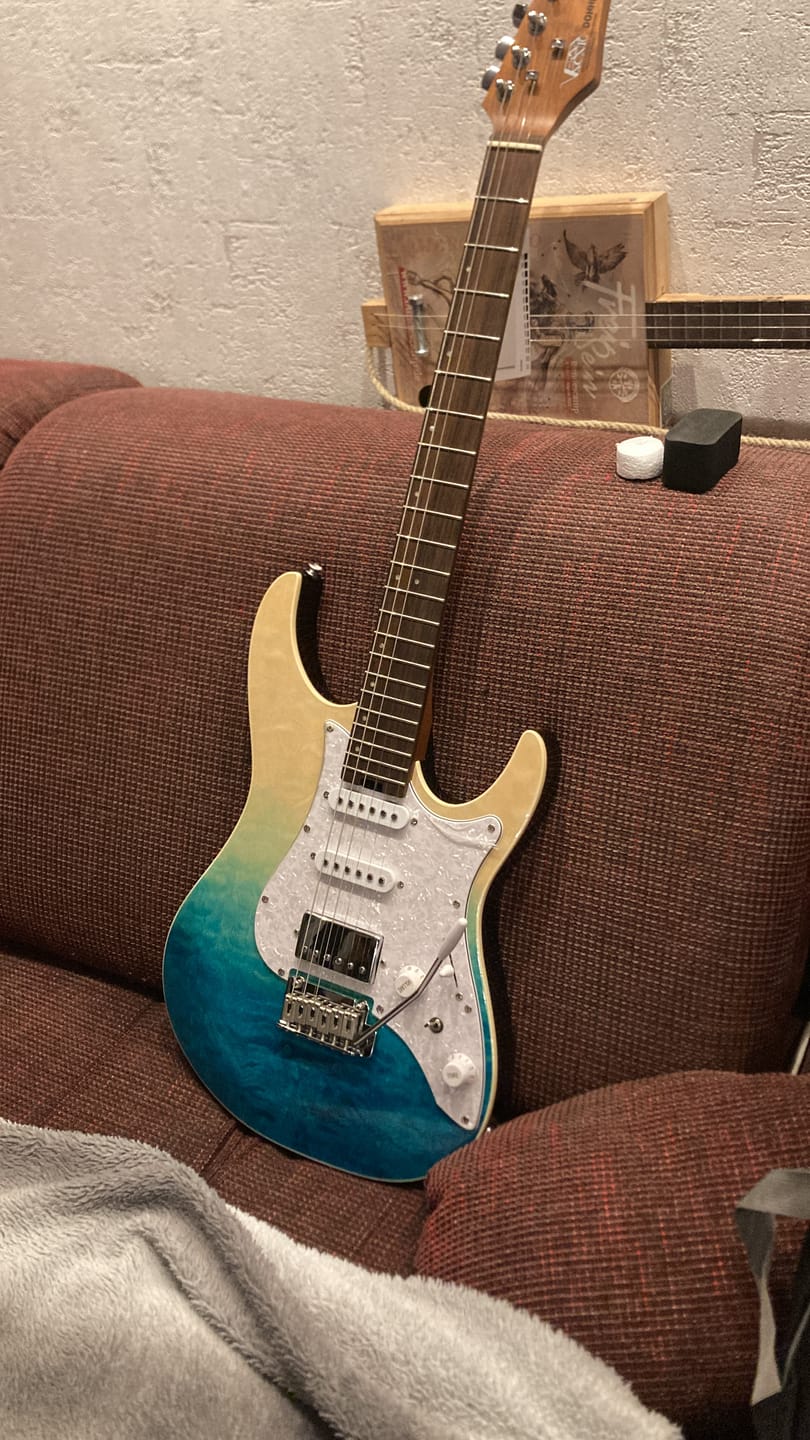 Customer photo review of Donner DST-550 E-Gitarre