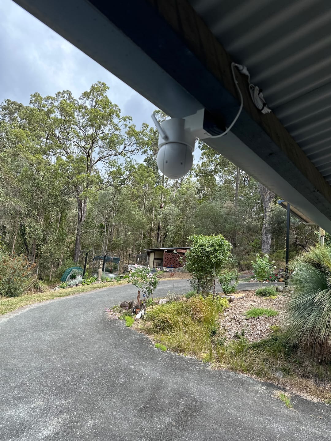 Customer photo review of Solar Camera Pro 3.0 WIFI®