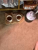 Customer photo review of PureFlow™   Pet Water Fountain