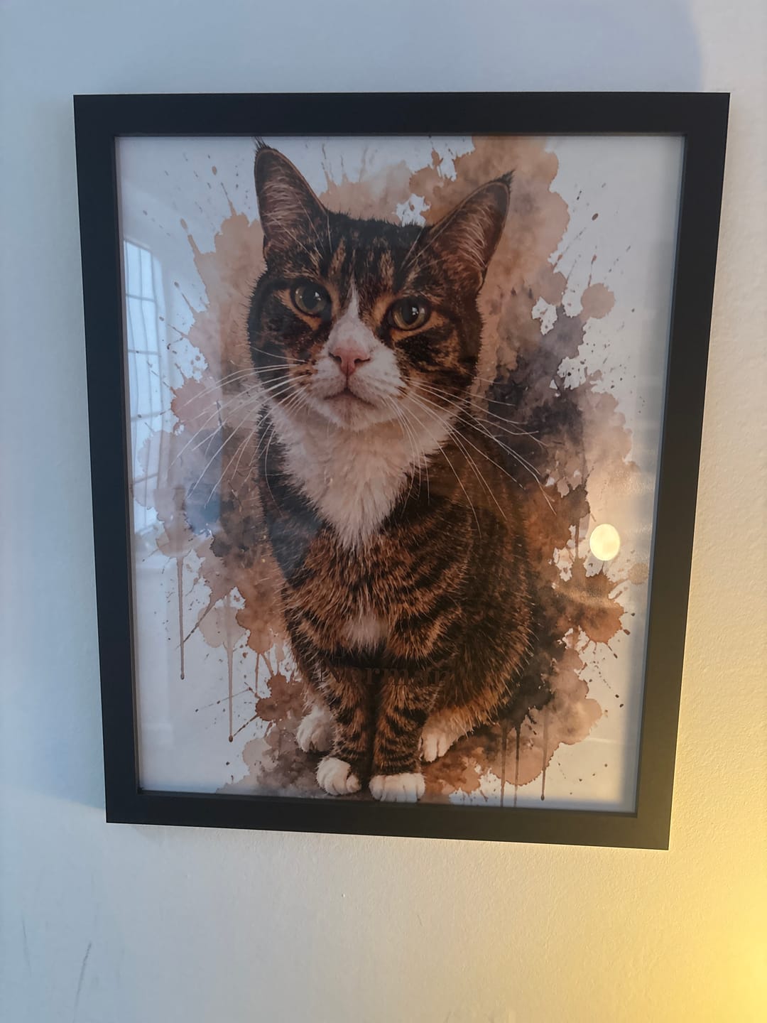 Customer photo review of Hanging Kit
