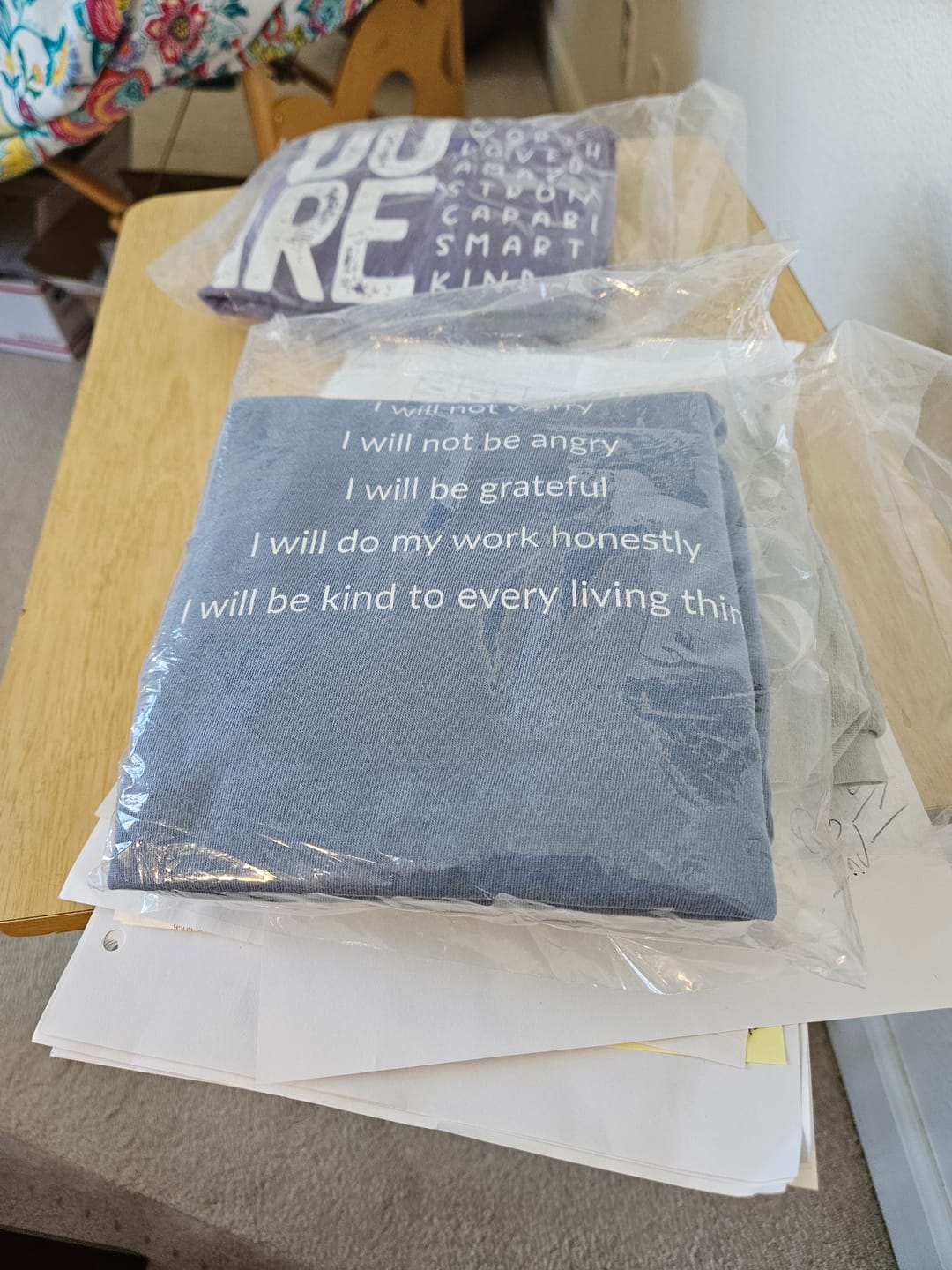 Customer photo review of Just For Today I Will Comfort Tee