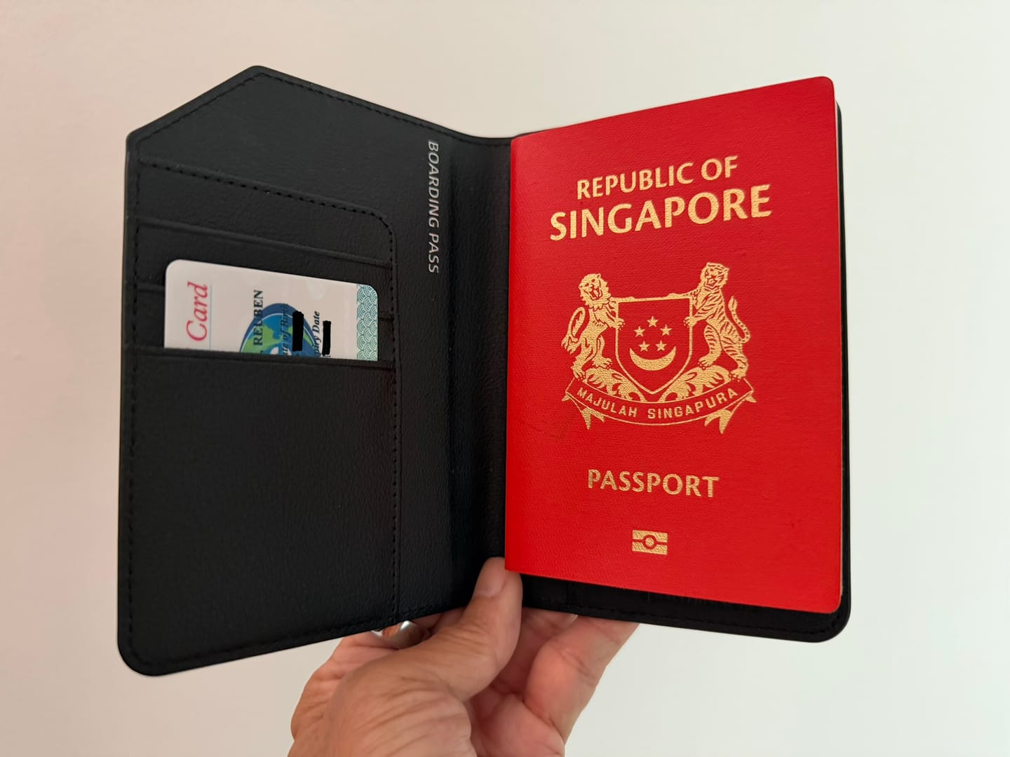 Customer photo review of Passport Holder Air