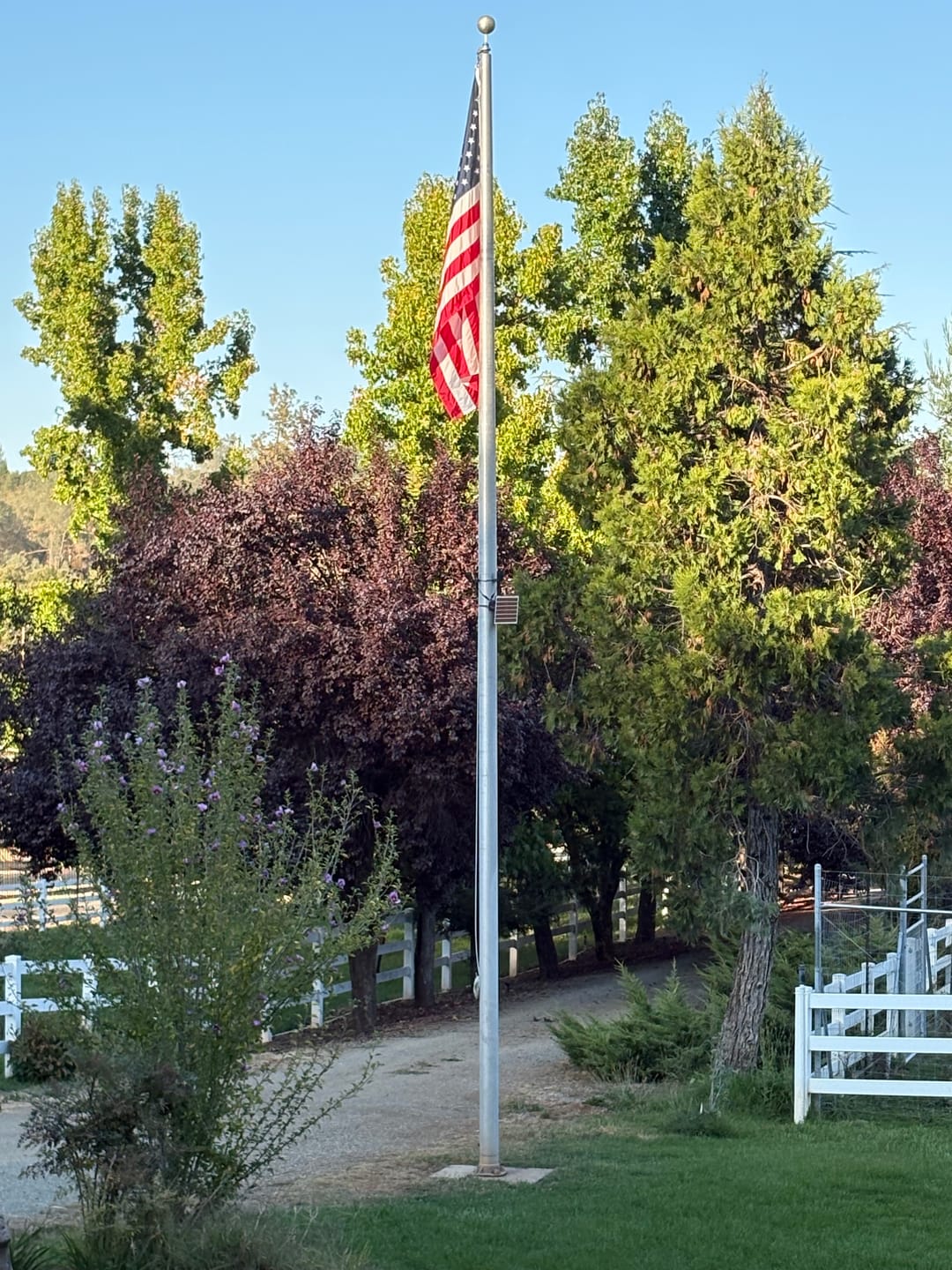 Customer photo review of 5' x 8' American Flag