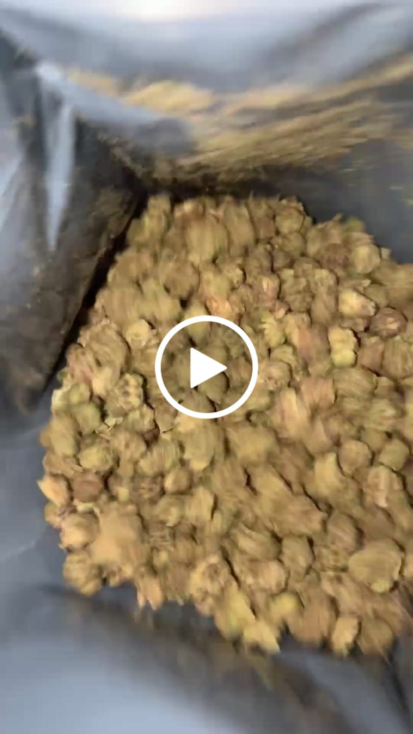 Customer video review of Lemon Zangria (Indoor Smalls) – Bulk THCA Flower 1 lb