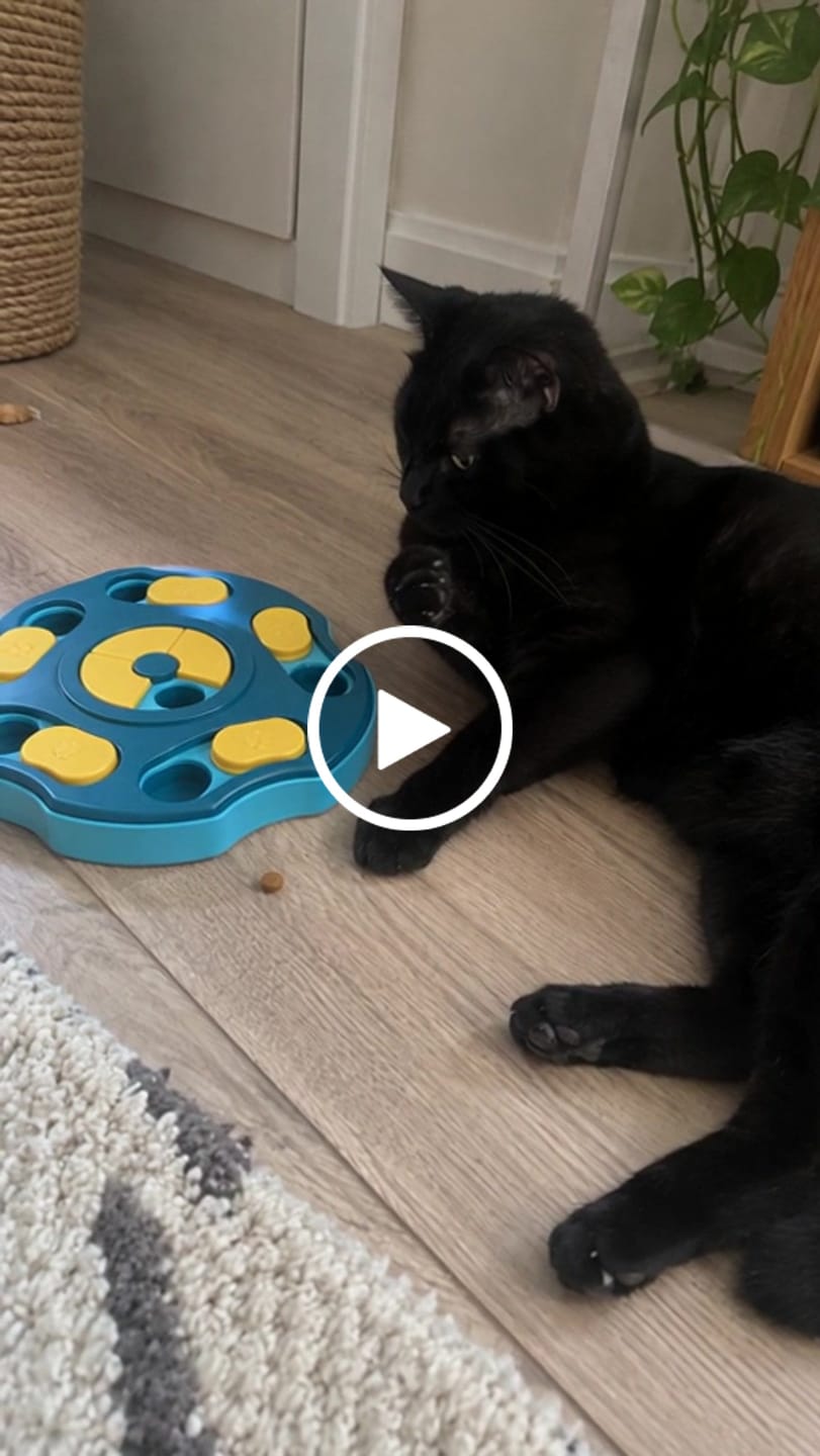 Customer video review of Comedero Puzzle Antiestrés para Gatos