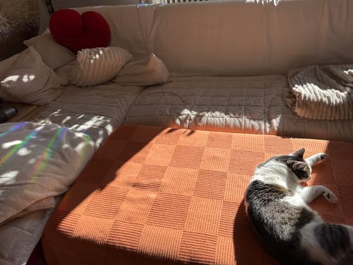 Customer photo review of Sofa Guard - Soft in Aktion